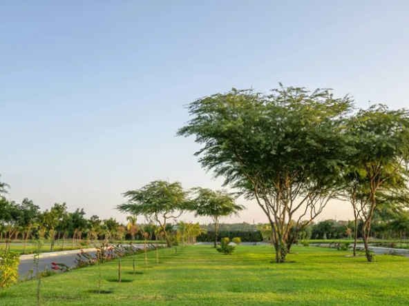 Arabian Hills Estate