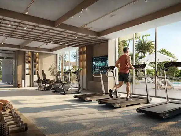 Avelia at The Valley, Dubai