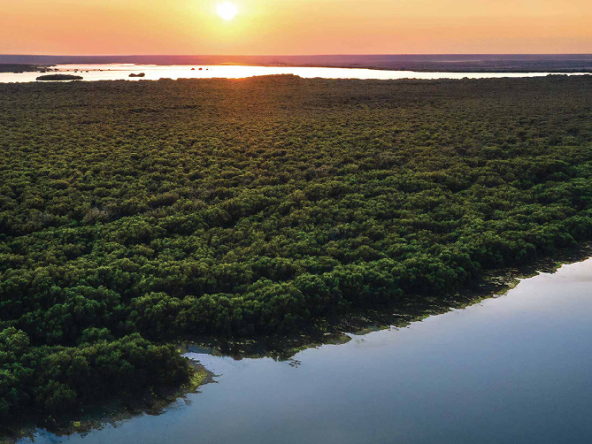 Mirasol Phase 2 at Mina Al Arab - RAK Properties